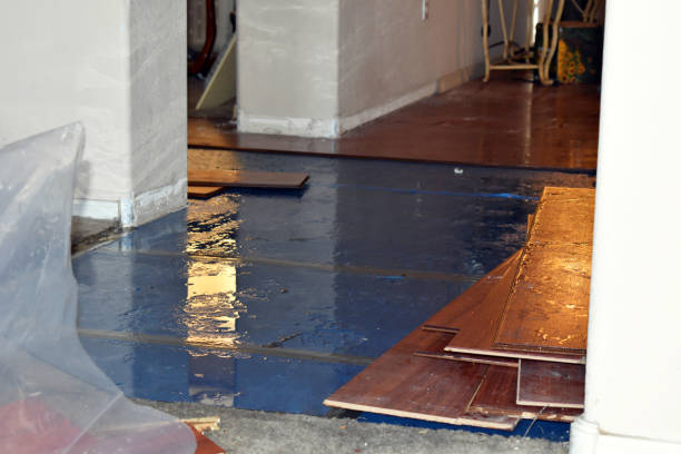 Professional Water Damage Restoration technician working in Scottsmoor, FL